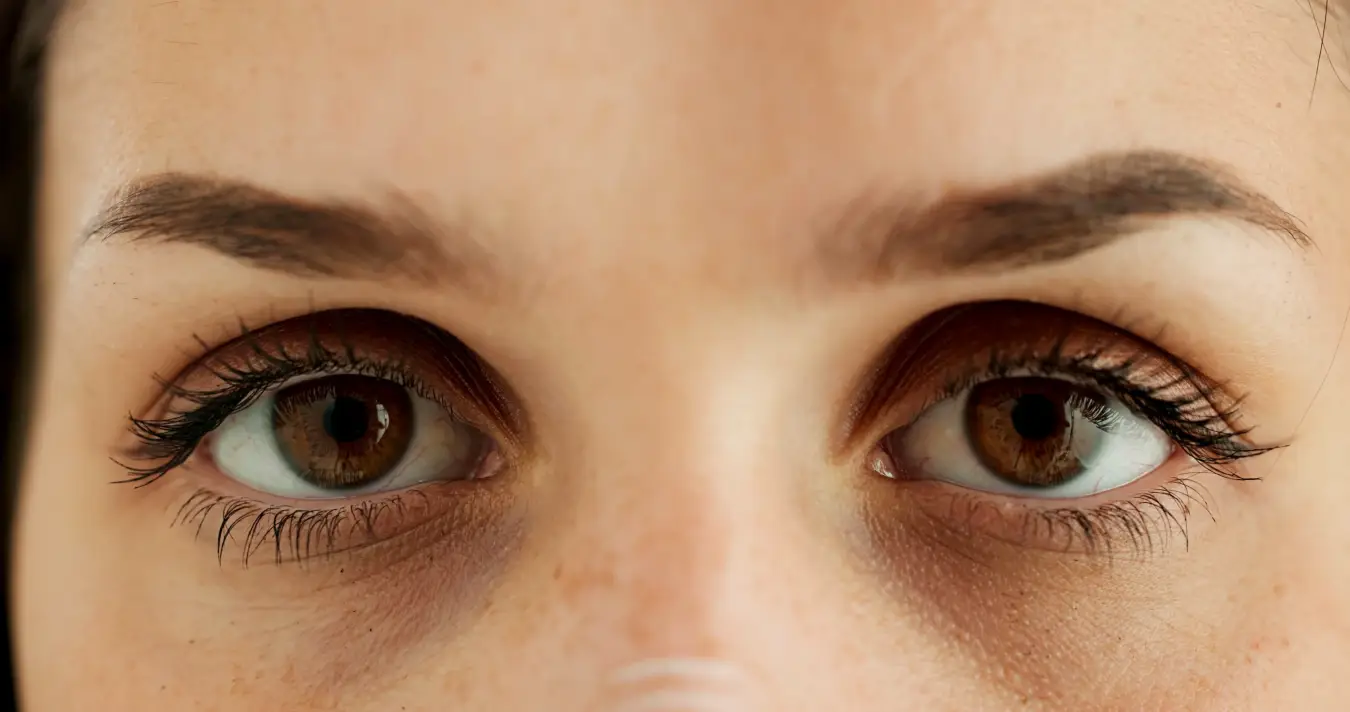 closeup eyes an